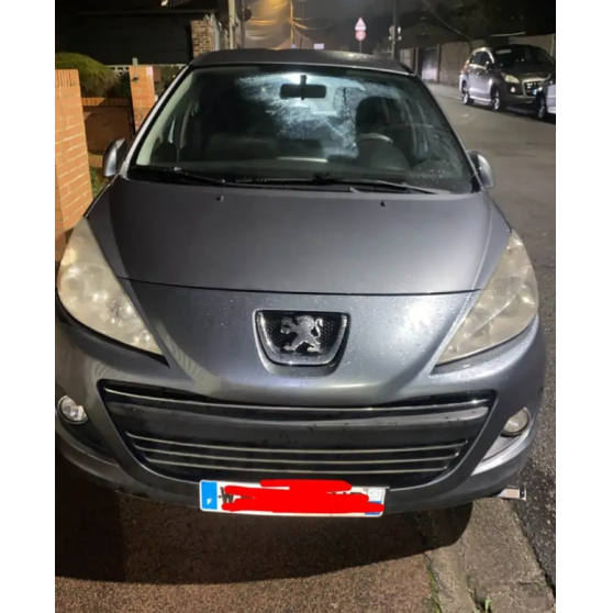 Peugeot 207 &eacute;dition 99G