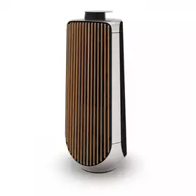 B&O (Bang & Olufsen) BeoLab 50